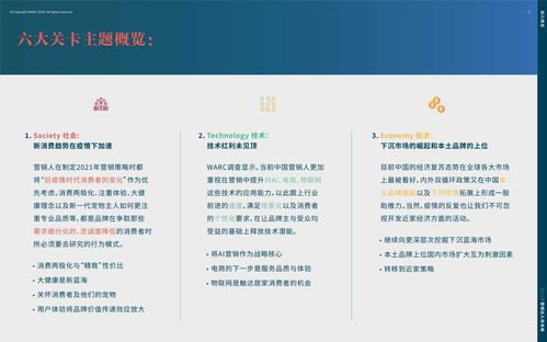 2021年營銷達(dá)人策劃指南攻關(guān)冊 應(yīng)對不確定性的實戰(zhàn)策略